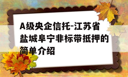 A级央企信托-江苏省盐城阜宁非标带抵押的简单介绍