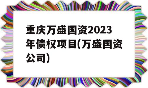 重庆万盛国资2023年债权项目(万盛国资公司)