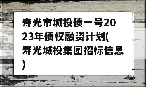 寿光市城投债一号2023年债权融资计划(寿光城投集团招标信息)