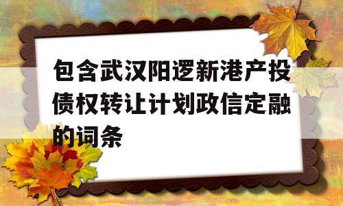 包含武汉阳逻新港产投债权转让计划政信定融的词条