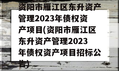 资阳市雁江区东升资产管理2023年债权资产项目(资阳市雁江区东升资产管理2023年债权资产项目招标公告)