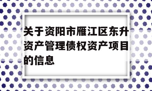 关于资阳市雁江区东升资产管理债权资产项目的信息