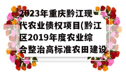 2023年重庆黔江现代农业债权项目(黔江区2019年度农业综合整治高标准农田建设)