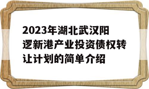 2023年湖北武汉阳逻新港产业投资债权转让计划的简单介绍