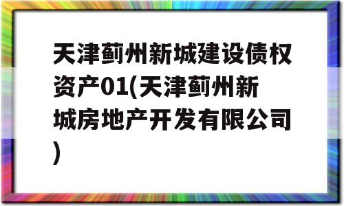 天津蓟州新城建设债权资产01(天津蓟州新城房地产开发有限公司)