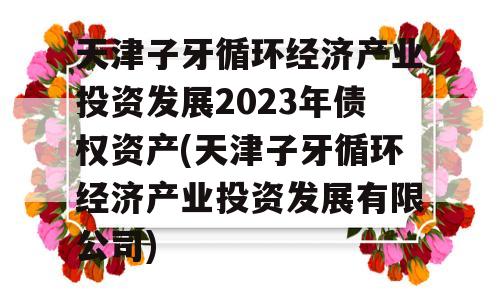 天津子牙循环经济产业投资发展2023年债权资产(天津子牙循环经济产业投资发展有限公司)