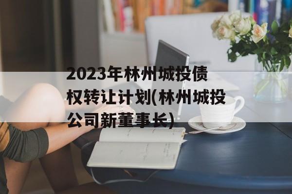 2023年林州城投债权转让计划(林州城投公司新董事长)