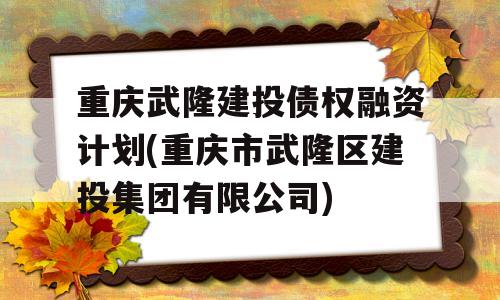 重庆武隆建投债权融资计划(重庆市武隆区建投集团有限公司)