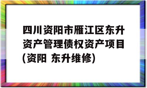 四川资阳市雁江区东升资产管理债权资产项目(资阳 东升维修)