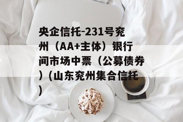 央企信托-231号兖州（AA+主体）银行间市场中票（公募债券）(山东兖州集合信托)