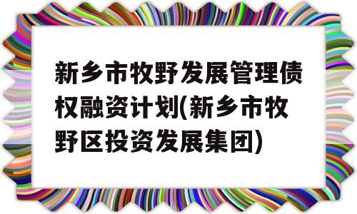 新乡市牧野发展管理债权融资计划(新乡市牧野区投资发展集团)