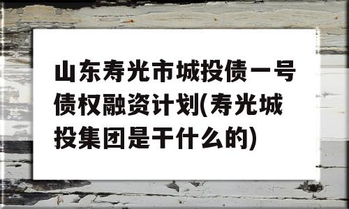 山东寿光市城投债一号债权融资计划(寿光城投集团是干什么的)