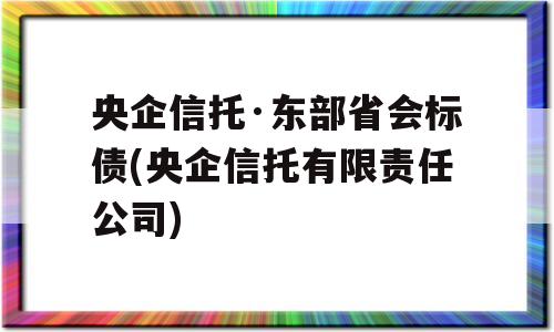 央企信托·东部省会标债(央企信托有限责任公司)