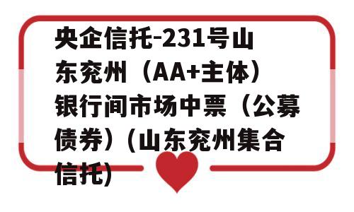 央企信托-231号山东兖州（AA+主体）银行间市场中票（公募债券）(山东兖州集合信托)