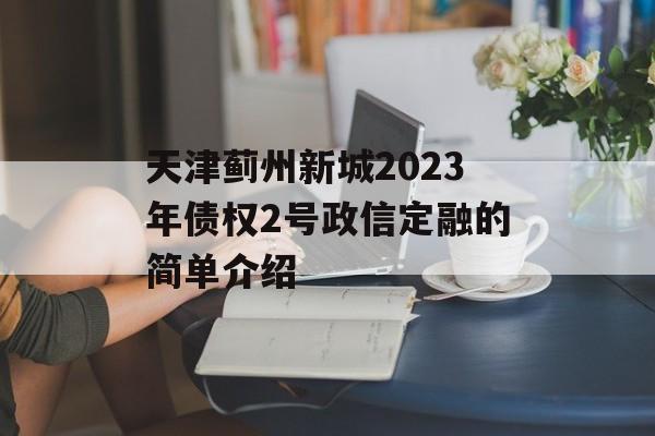 天津蓟州新城2023年债权2号政信定融的简单介绍