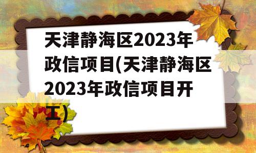 天津静海区2023年政信项目(天津静海区2023年政信项目开工)