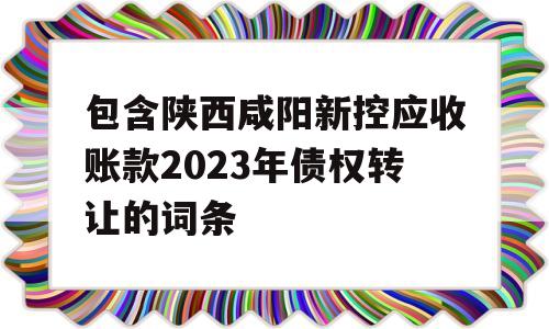 包含陕西咸阳新控应收账款2023年债权转让的词条