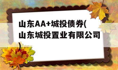 山东AA+城投债券(山东城投置业有限公司)