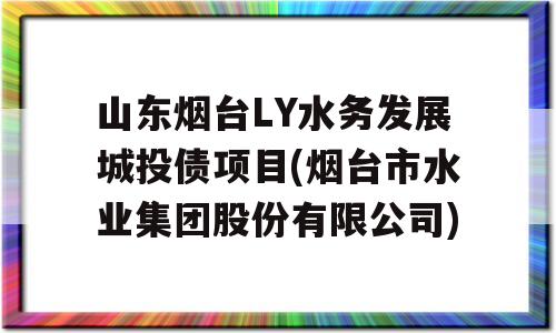 山东烟台LY水务发展城投债项目(烟台市水业集团股份有限公司)