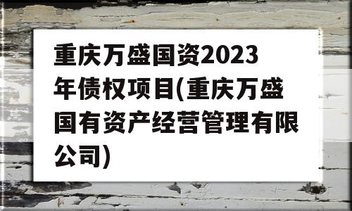 重庆万盛国资2023年债权项目(重庆万盛国有资产经营管理有限公司)