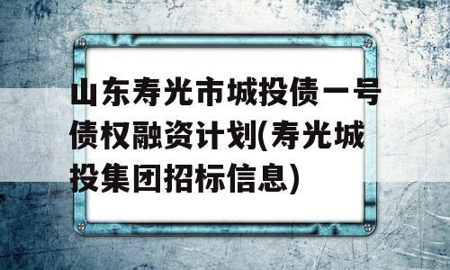 山东寿光市城投债一号债权融资计划(寿光城投集团招标信息)