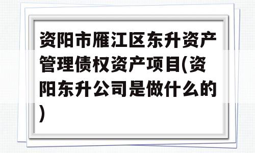 资阳市雁江区东升资产管理债权资产项目(资阳东升公司是做什么的)