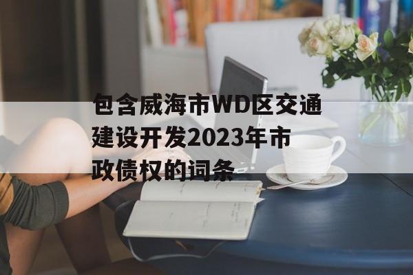 包含威海市WD区交通建设开发2023年市政债权的词条