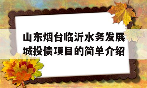 山东烟台临沂水务发展城投债项目的简单介绍