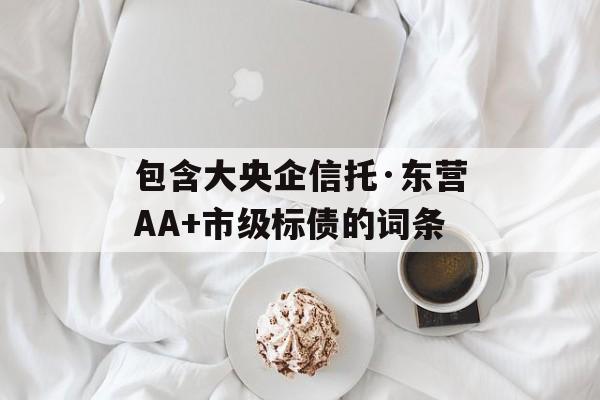 包含大央企信托·东营AA+市级标债的词条