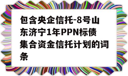 包含央企信托-8号山东济宁1年PPN标债集合资金信托计划的词条