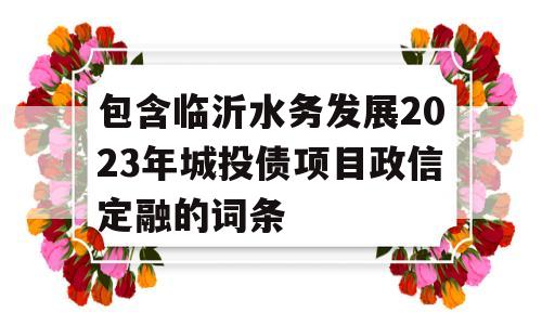 包含临沂水务发展2023年城投债项目政信定融的词条