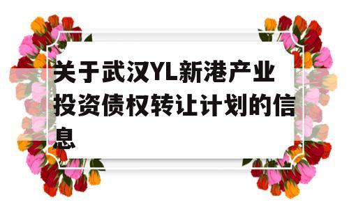 关于武汉YL新港产业投资债权转让计划的信息