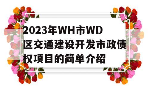 2023年WH市WD区交通建设开发市政债权项目的简单介绍