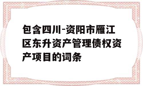 包含四川-资阳市雁江区东升资产管理债权资产项目的词条