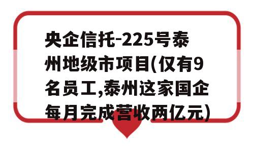 央企信托-225号泰州地级市项目(仅有9名员工,泰州这家国企每月完成营收两亿元)