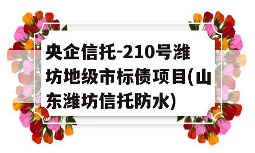 央企信托-210号潍坊地级市标债项目(山东潍坊信托防水)