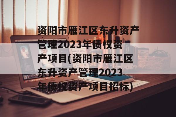 资阳市雁江区东升资产管理2023年债权资产项目(资阳市雁江区东升资产管理2023年债权资产项目招标)