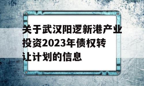 关于武汉阳逻新港产业投资2023年债权转让计划的信息