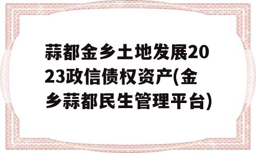 蒜都金乡土地发展2023政信债权资产(金乡蒜都民生管理平台)