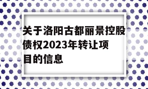 关于洛阳古都丽景控股债权2023年转让项目的信息