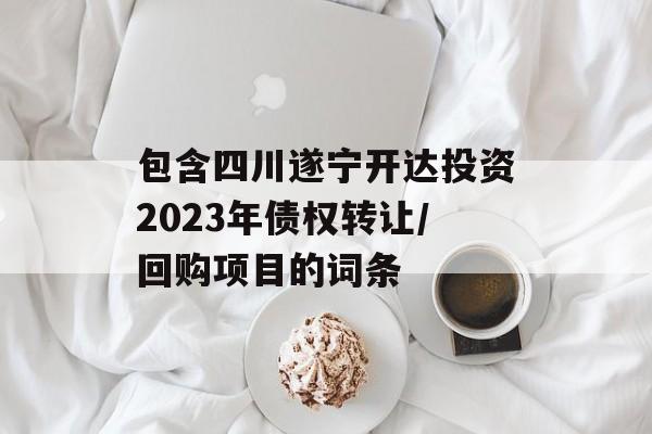 包含四川遂宁开达投资2023年债权转让/回购项目的词条