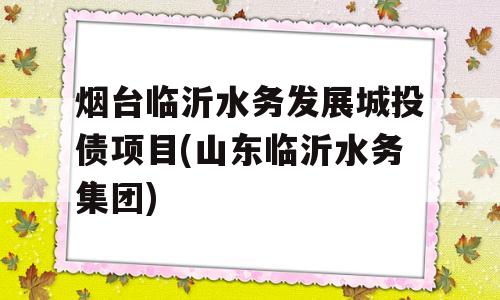 烟台临沂水务发展城投债项目(山东临沂水务集团)