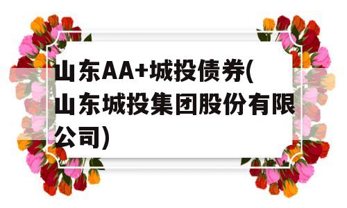 山东AA+城投债券(山东城投集团股份有限公司)