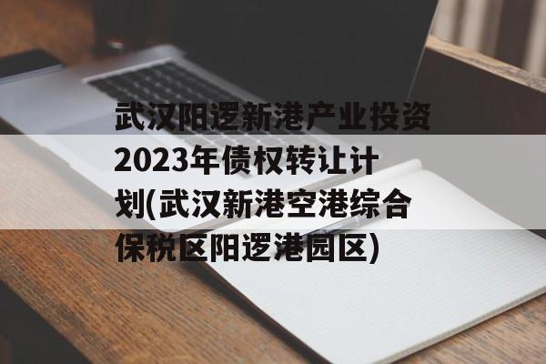 武汉阳逻新港产业投资2023年债权转让计划(武汉新港空港综合保税区阳逻港园区)