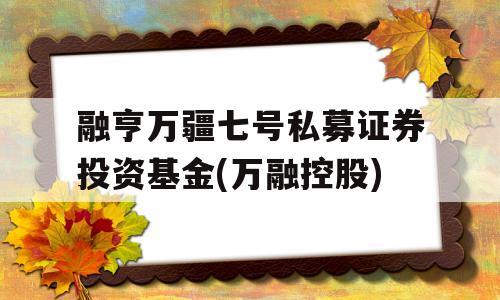 融亨万疆七号私募证券投资基金(万融控股)