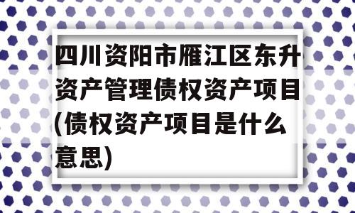 四川资阳市雁江区东升资产管理债权资产项目(债权资产项目是什么意思)