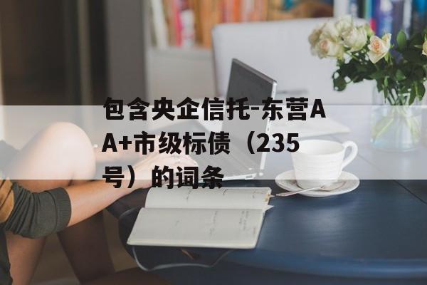 包含央企信托-东营AA+市级标债（235号）的词条