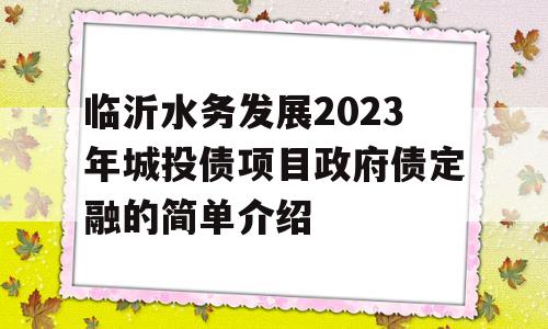 临沂水务发展2023年城投债项目政府债定融的简单介绍