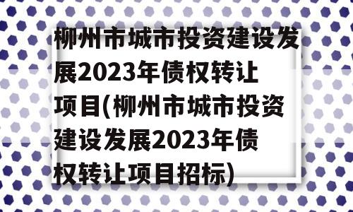 柳州市城市投资建设发展2023年债权转让项目(柳州市城市投资建设发展2023年债权转让项目招标)