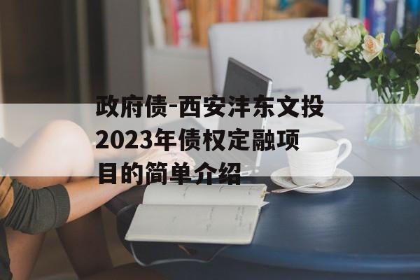 政府债-西安沣东文投2023年债权定融项目的简单介绍